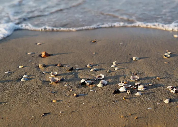 Appartement Fun And Relax By The Pool-beahost